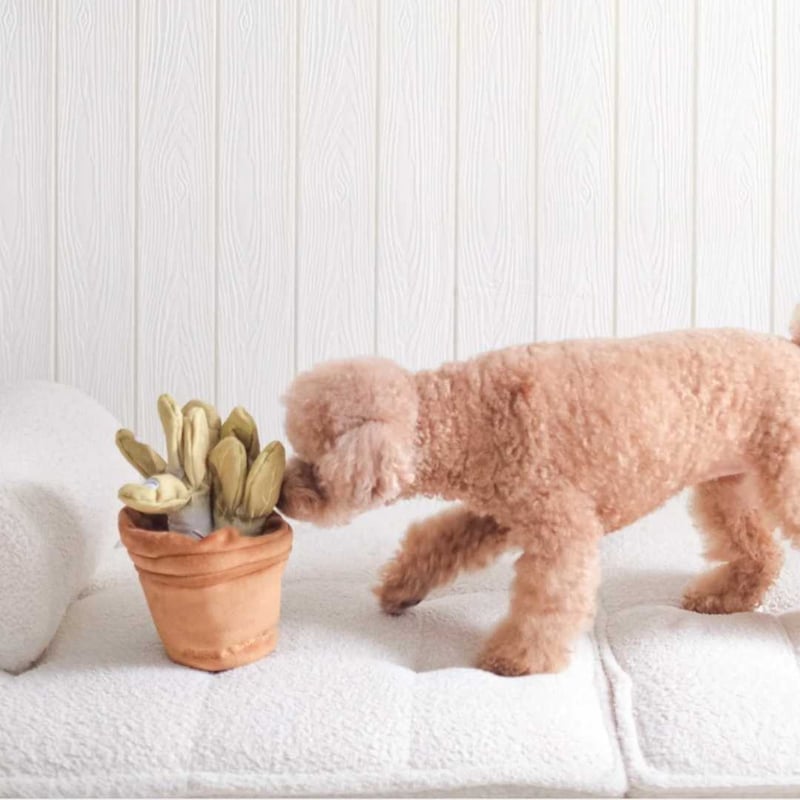 CATEGORY Pups & Bubs | モフモフ mof_mof｜北欧デザインのペットグッズ