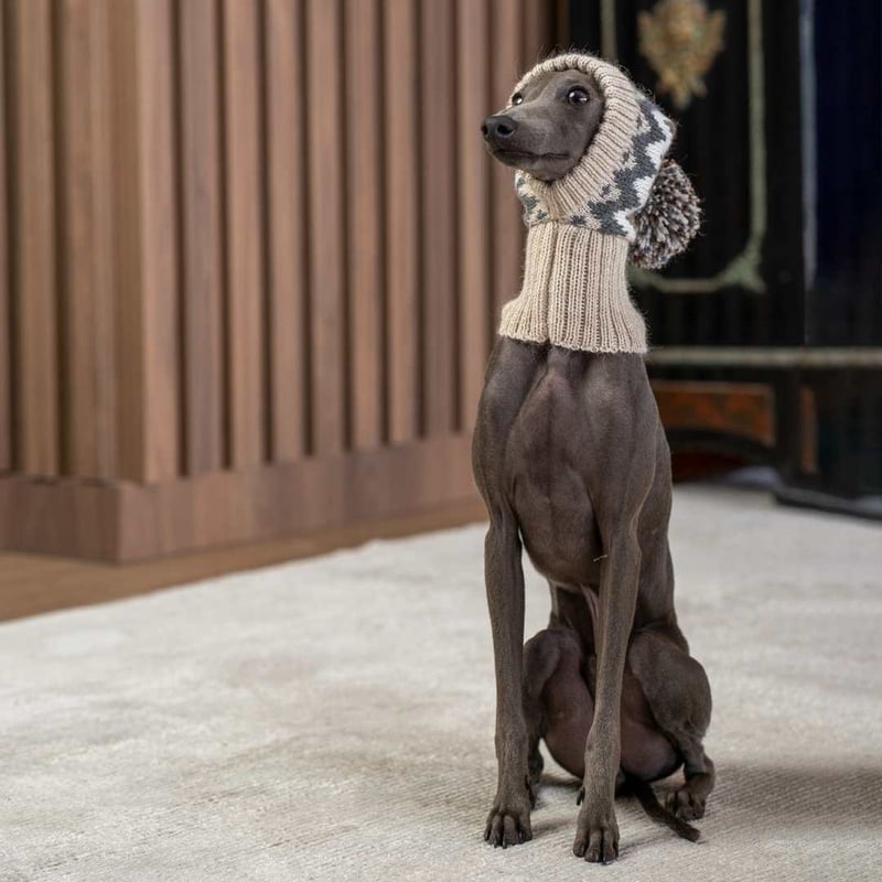 ALQO WASI ] アルパカ お帽子 | モフモフ mof_mof｜北欧デザインの