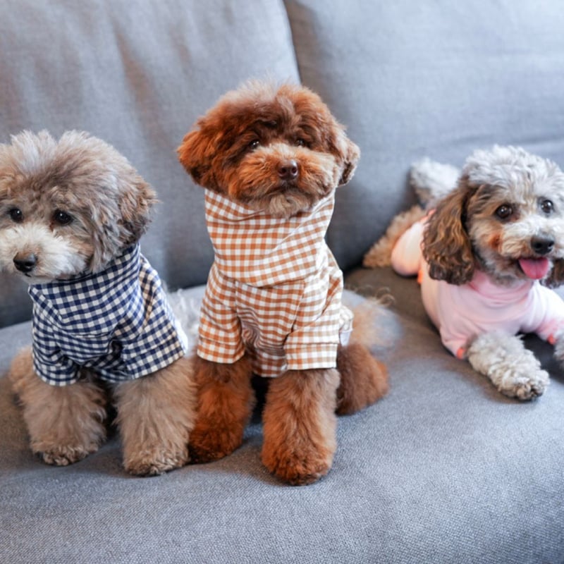 MR WOOF] ギンガムチェック ベージュ/ネイビー | モフモフ mof_mof