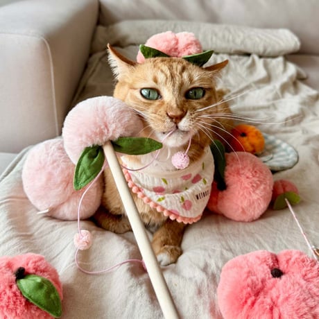 [WET NOSE] キャットトイ ピーチジュース