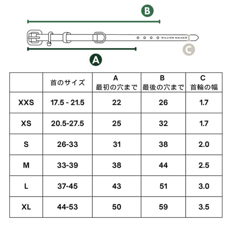[William Walker] レザー首輪 サンド/ベビーブルー XXSからXLまで