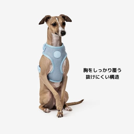 [MR WOOF]  メッシュハーネス 6色