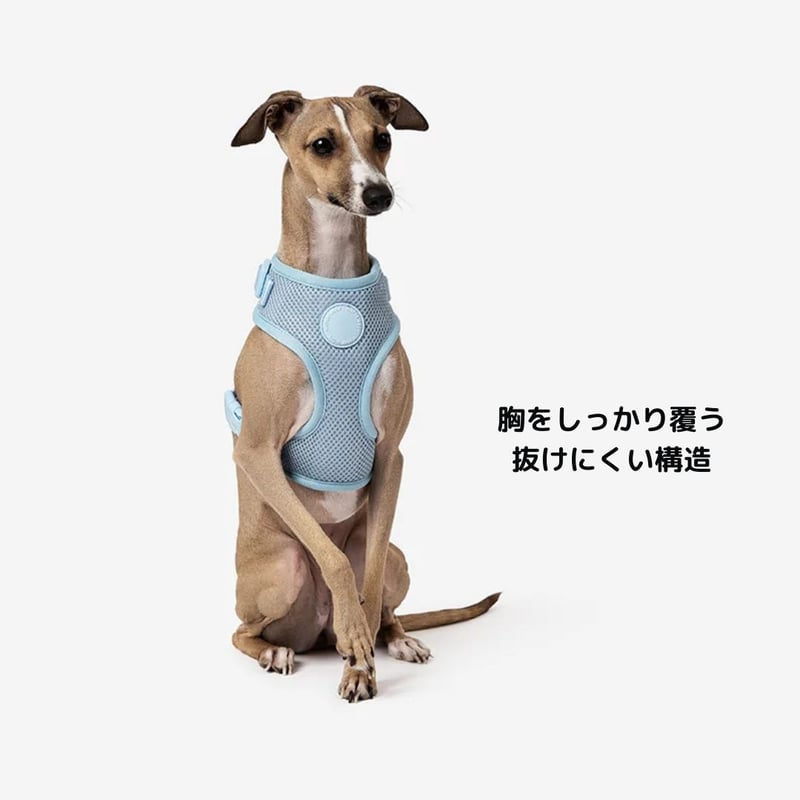 MR WOOF] メッシュハーネス 5色 | モフモフ mof_mof｜北欧デザインの
