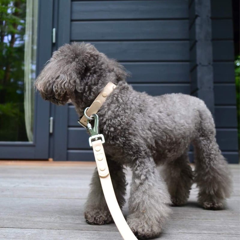 motto_kuma / CORDURA サンドベージュ db3799e91bb0e93fc3c7fd121f3495