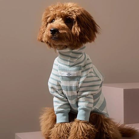 [Striped Dog]  ハイネック リブ ボーダー ２色