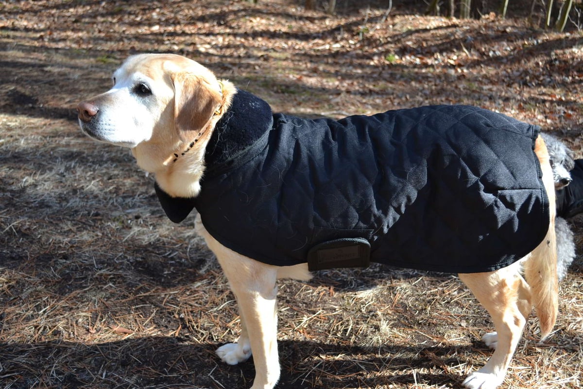 Kentucky ドッグコート Kentucky Dogwear] 防寒コート ブラック/ボルドー/ネイビー | モフモフ