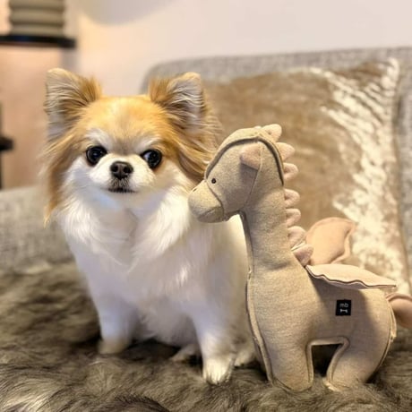 [max-bone] 幻のドラゴンさん (期間限定 名入れネームプレートつき）