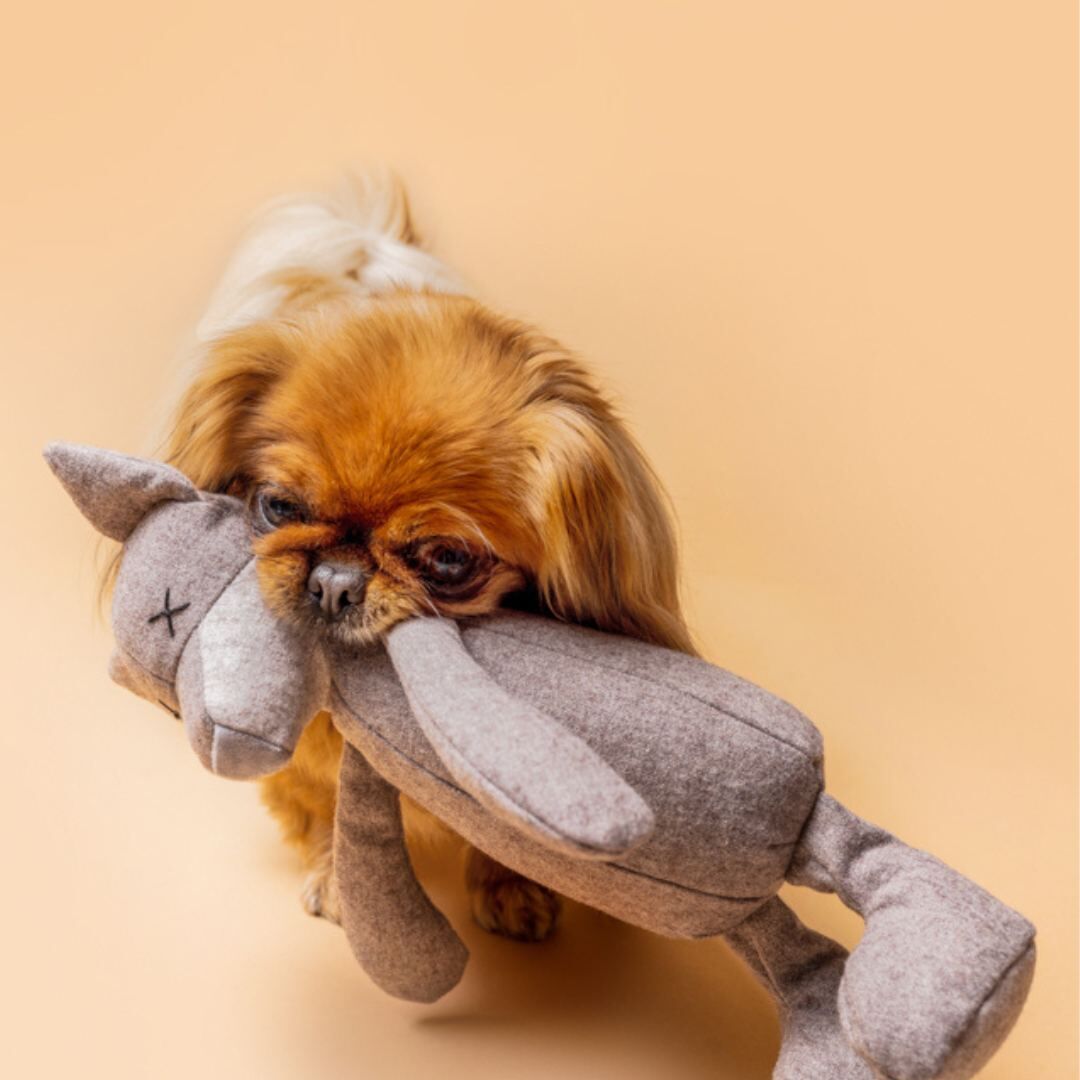 LILLY] オオカミさん | モフモフ mof_mof｜北欧デザインのペットグッズ