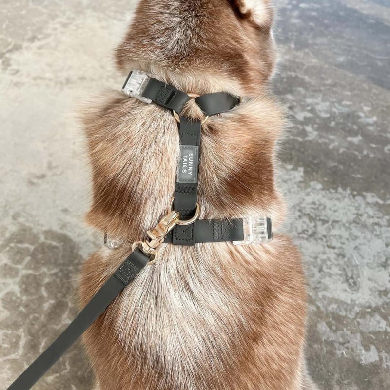 う*る様 MURRAL タグ付き ハーネス シルバー う*る様 MURRAL