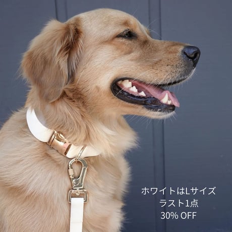 [SunnyTails] 防水首輪 S/M/L 6色 (ホワイトLのみ30%OFF)