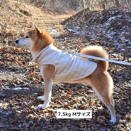 [max-bone]  簡単フィット ジャケット 4色