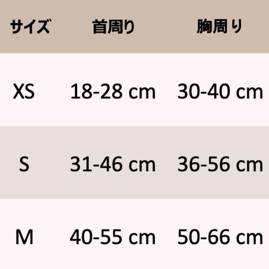 63bced544405422061c9ca19