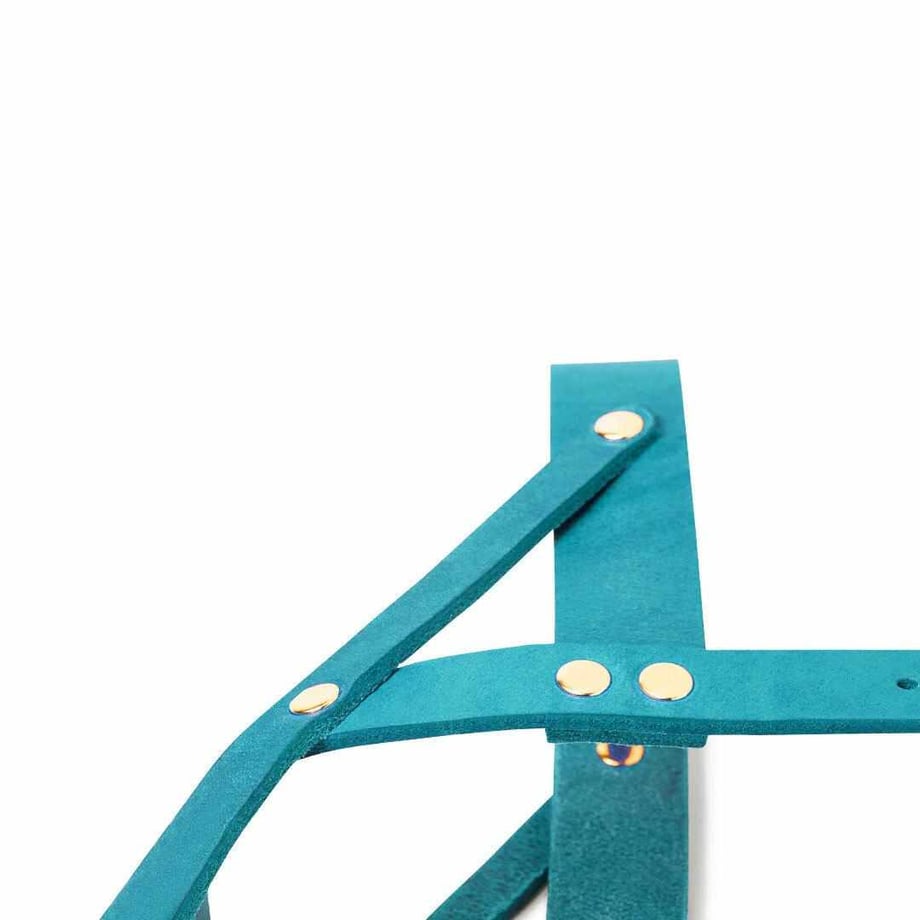 669631702358c60114497198