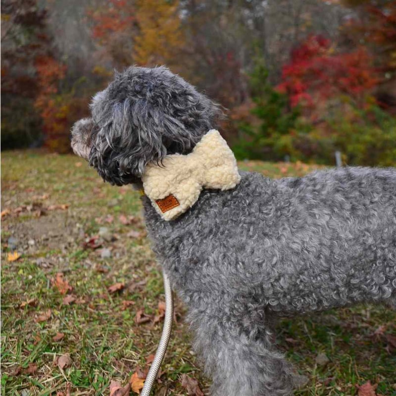 DREW's] テディー もふもふリボン | モフモフ mof_mof｜北欧デザインの