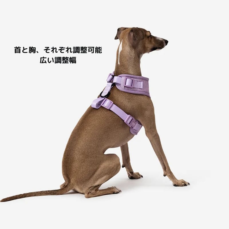 MR WOOF] メッシュハーネス 5色 | モフモフ mof_mof｜北欧デザインの