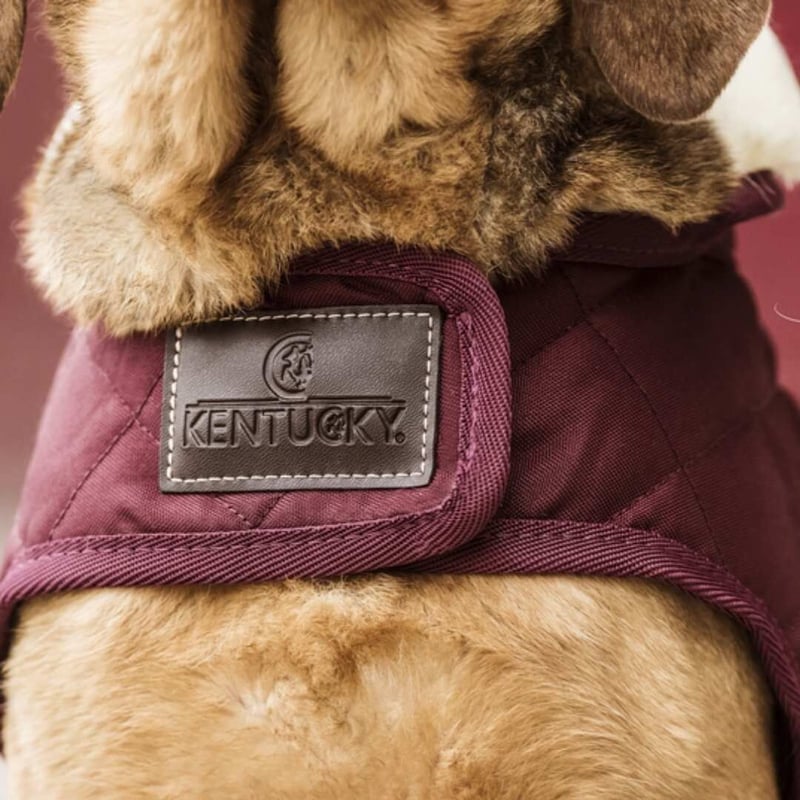 KENTUCKY 犬用コート バーガンディ XS Kentucky Dogwear] 防寒コート ブラック/ボルドー/ネイビー