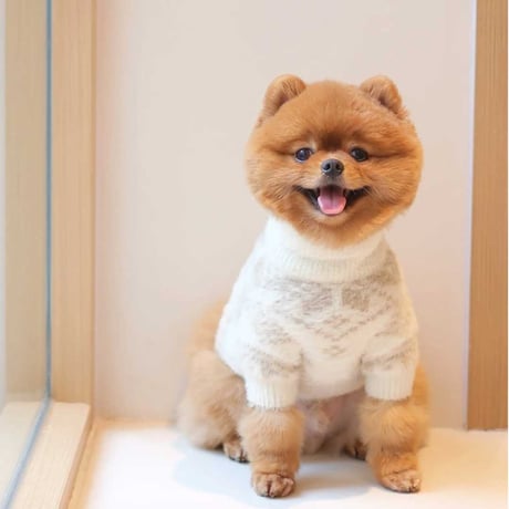[Pups & Bubs]  ふわもこニット スノー