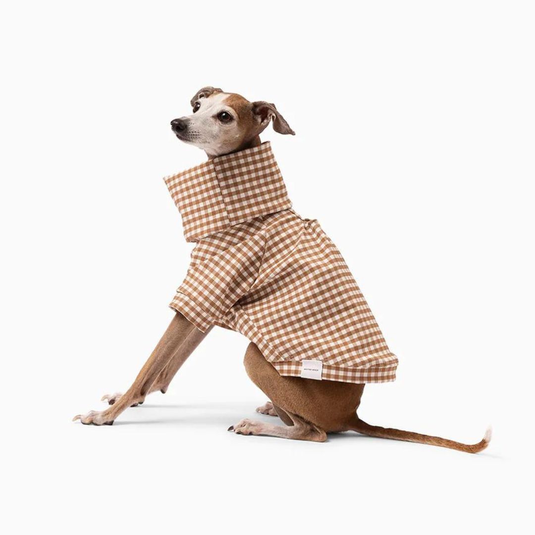 MR WOOF] ギンガムチェック ベージュ/ネイビー | モフモフ mof_mof