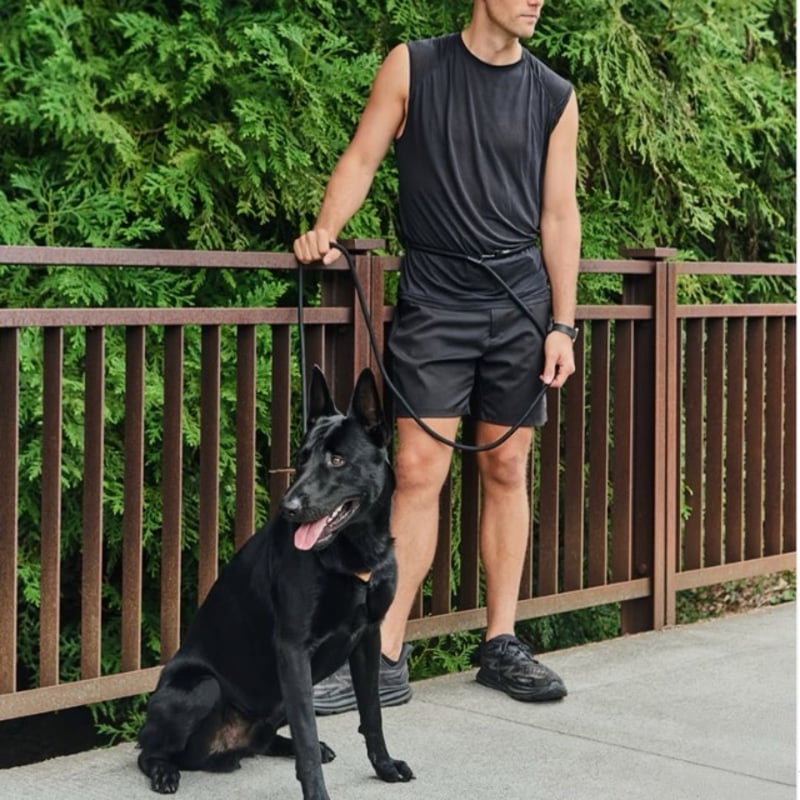 CATEGORY レザー製 | モフモフ mof_mof｜北欧デザインのペットグッズ