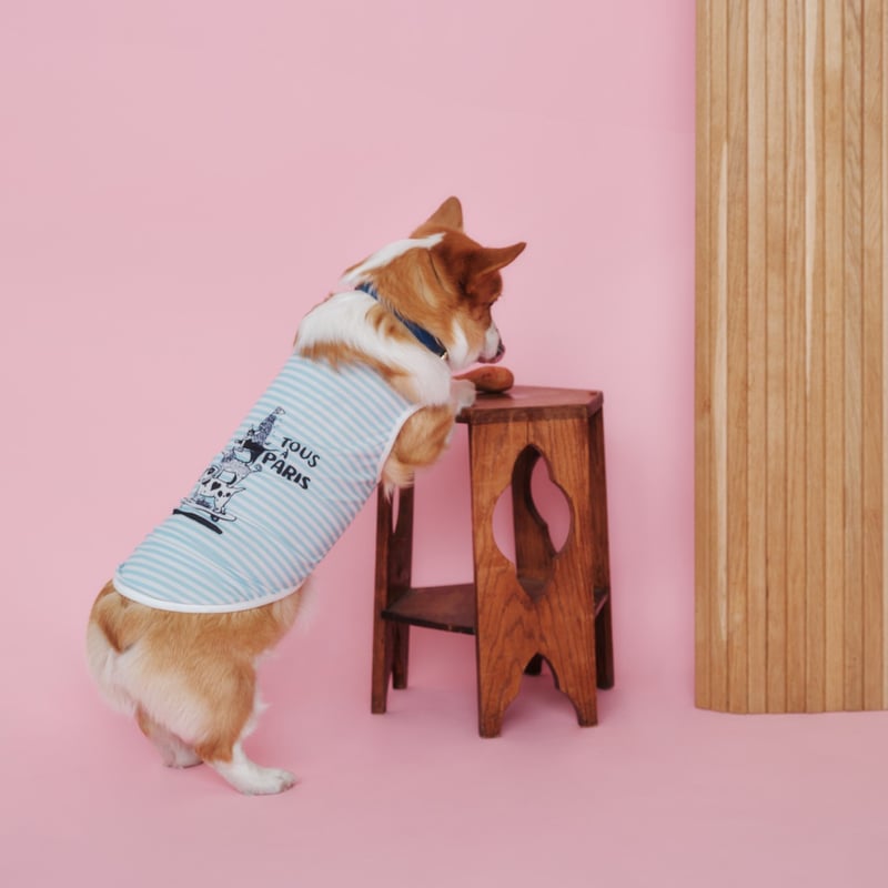 LYFT タンクトップ S グレー 犬デザイン Dog Graphic Training Tanktop - White – LÝFT