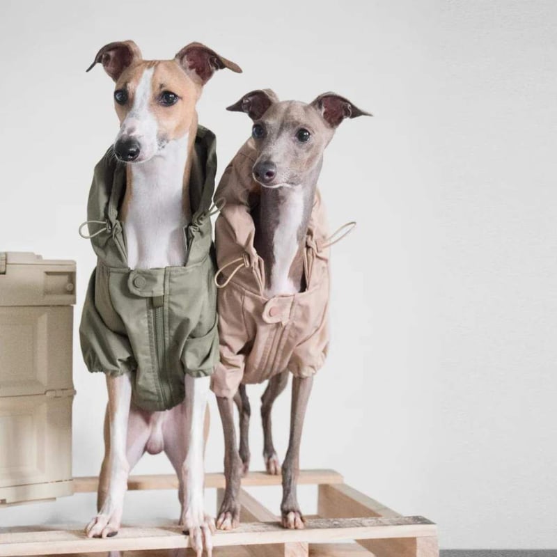 lambwolf] レインコート オリーブ/ピンクベージュ | モフモフ mof_mof