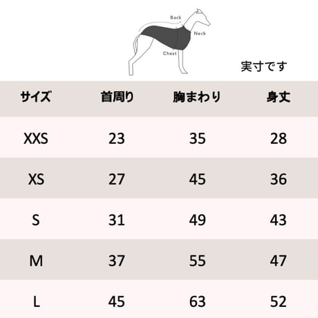 [Striped Dog]  スウェット  クリーム/ブルーグレー