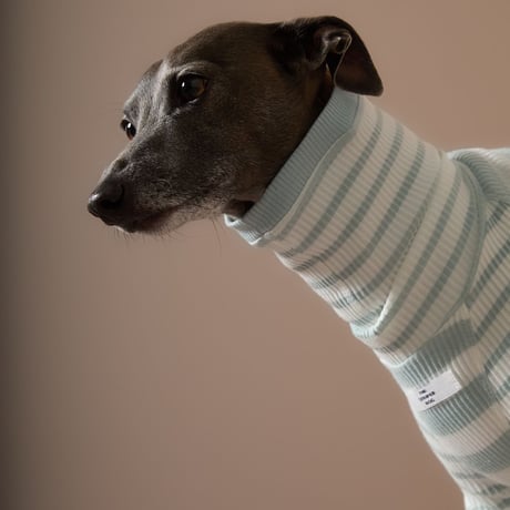 [Striped Dog]  ハイネック リブ ボーダー イタグレ用 ２色