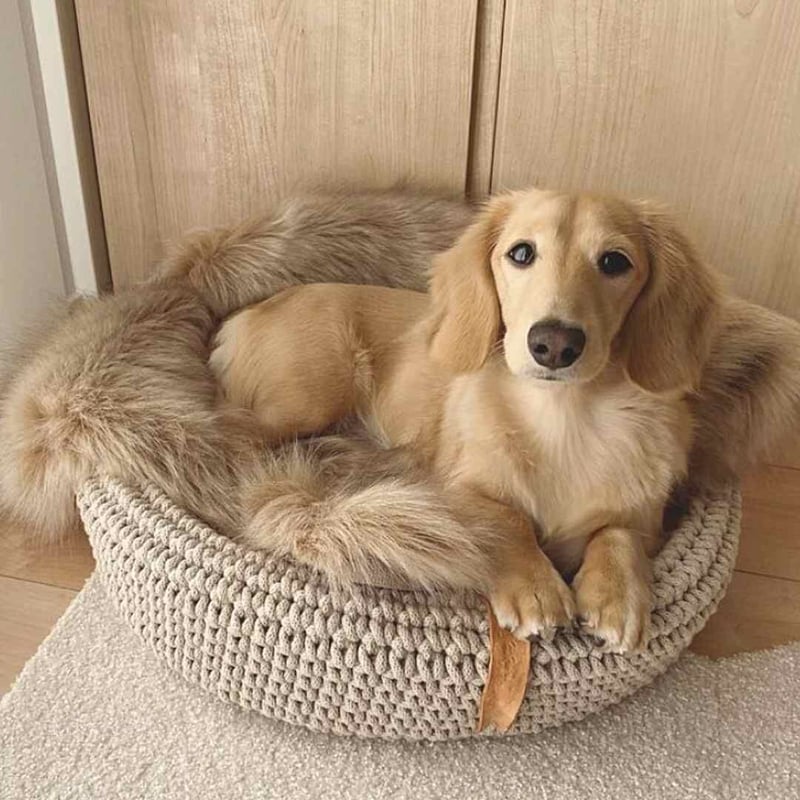 Labbvenn] エコファーブランケット (S) カプチーノ/グレー/ホワイト