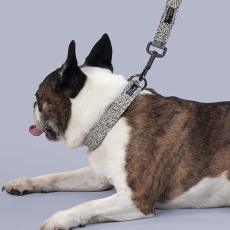 [PARK BARKERS] 首輪  ストーングレー