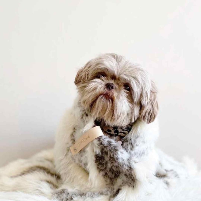 Labbvenn] エコファーブランケット (S) アイボリーグレージュ