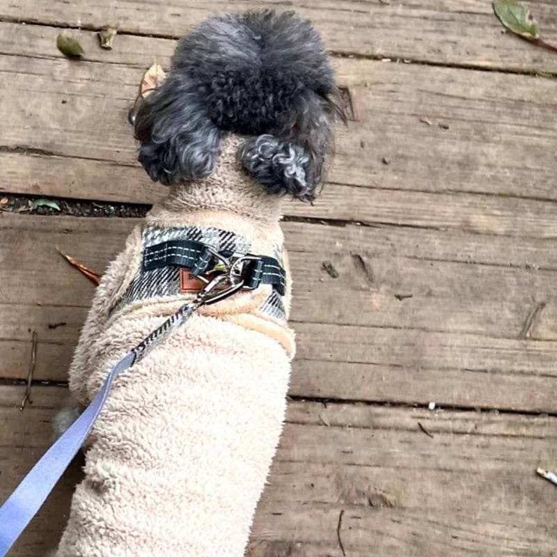 LITTLE BEAST] ジャンプスーツ サンドベージュ/ピンク | モフモフ mof_