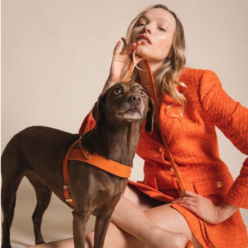 Molly&Stitch] 本革ハンズフリーリード MANGO | モフモフ mof_mof