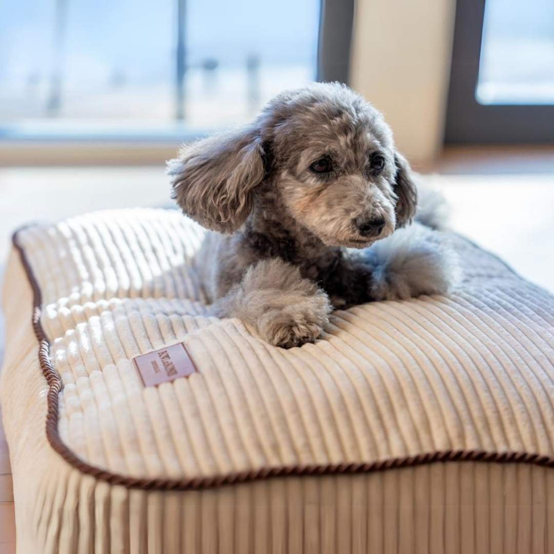 BBR] DECO クッションベッド クリーム S/M | モフモフ mof_mof｜北欧デ