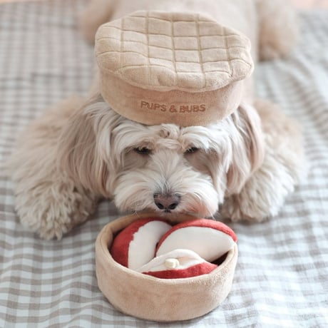 [Pups & Bubs]  アップルパイ ノーズワーク