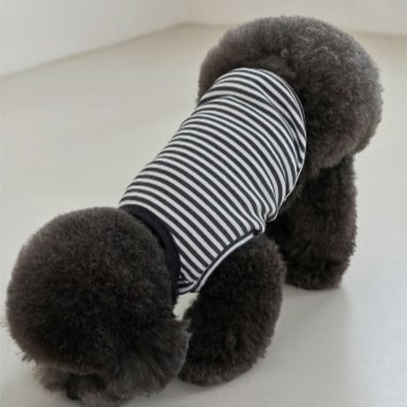 [Small Stuff]  袖なしストライプ Tシャツ ブルー/チャコール