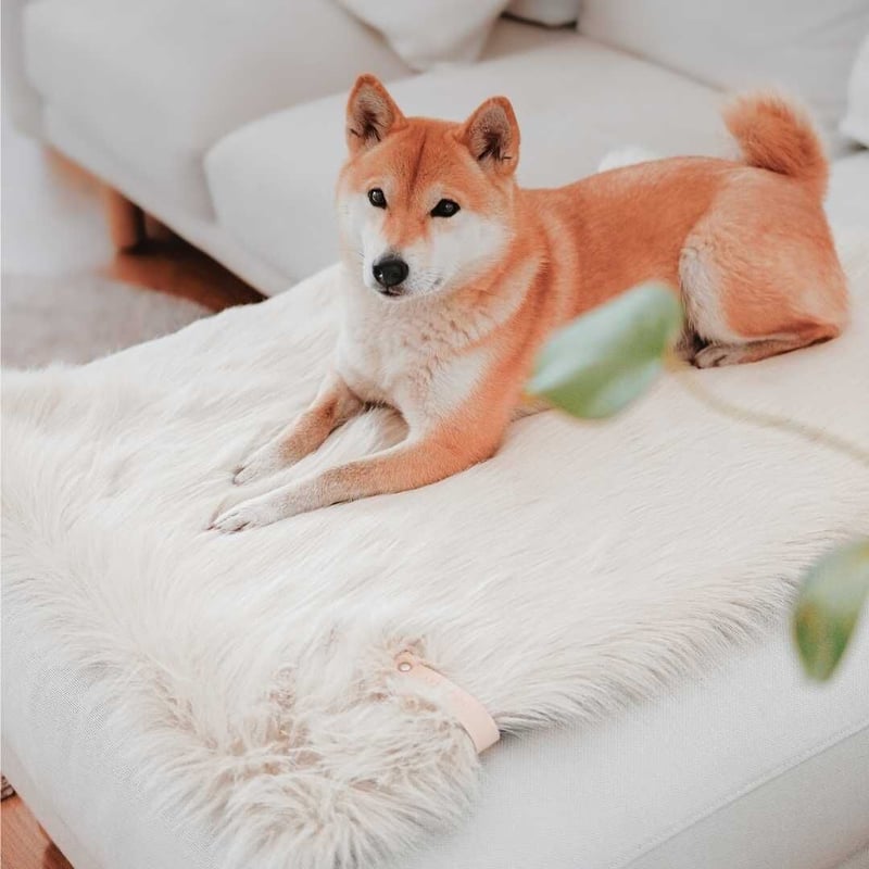 Labbvenn] エコファーブランケット (M) カプチーノ/グレー/ホワイト