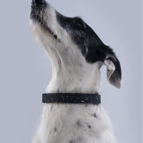 [PARK BARKERS] 首輪  ストーングレー