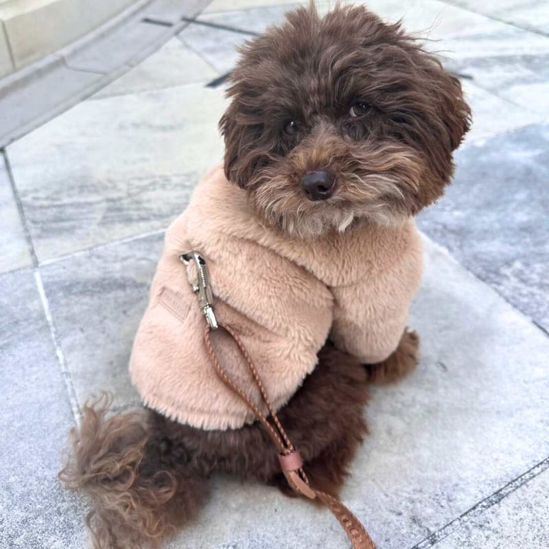 FUR ELISE] モフモフコート サンド/ピンク | モフモフ mof_mof｜北欧