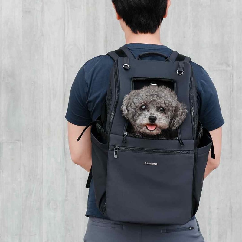 犬 キャリーバッグ 【正規品 PUPS&BUBS】 楽天市場】犬 キャリーバッグ 【正規品 PUPS&BUBSペット