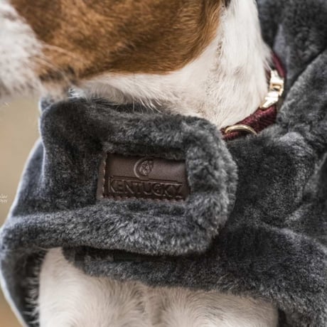 [Kentucky Dogwear] もこもこ防寒コート チャコールグレー