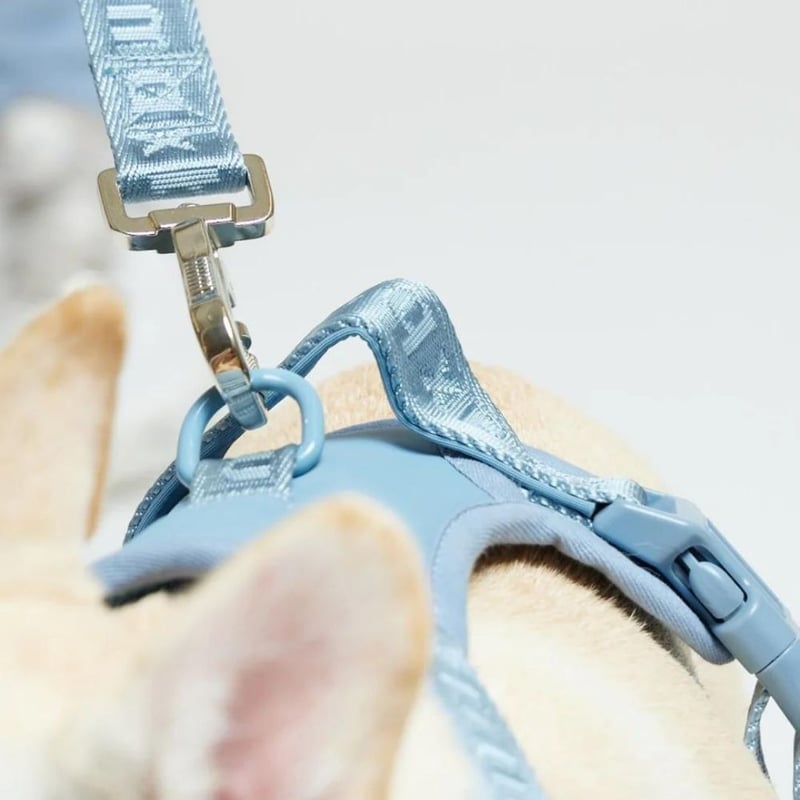 【新品】maxbone ハンズフリーリード Light Gray max-bone] GO! Easy ハンズフリーリード 7色 | モフモフ mof_mof