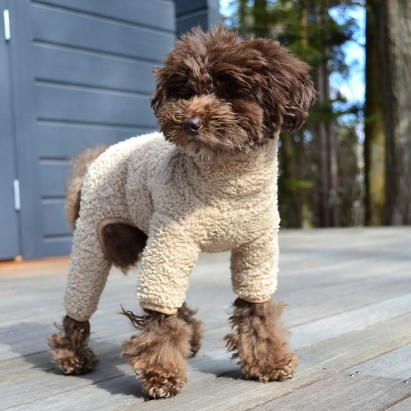 LITTLE BEAST] ジャンプスーツ サンドベージュ/ピンク | モフモフ mof_