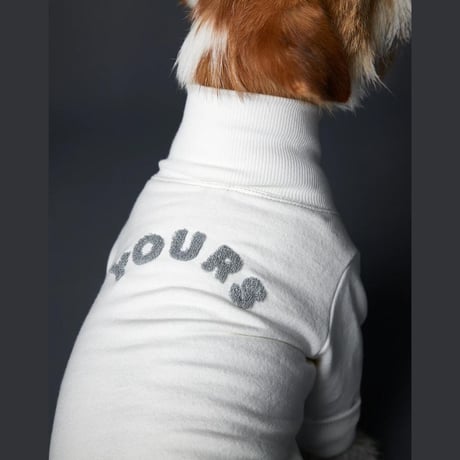 [Striped Dog]  スウェット  クリーム/ブルーグレー