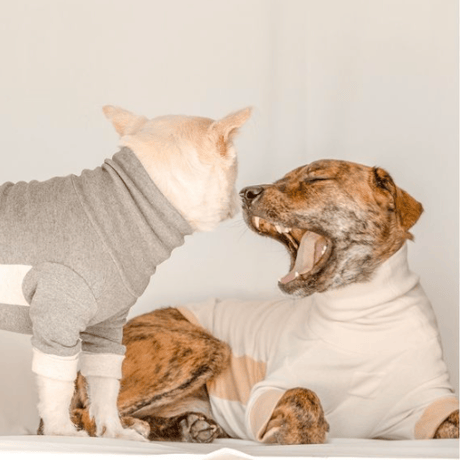 [furryfolks]  High Neck Tee  クリーム