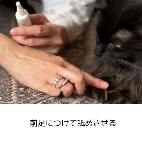 [nanowell] オーラルケア for DOG / for CAT