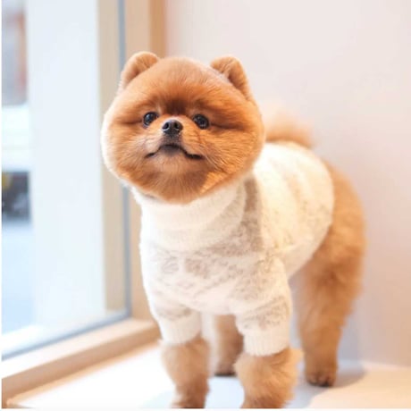 [Pups & Bubs]  ふわもこニット スノー