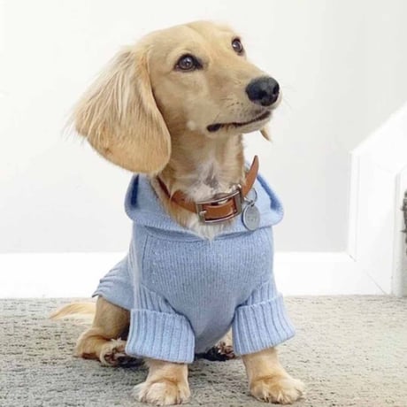 [woolwag]  カシミア フーディー ４色