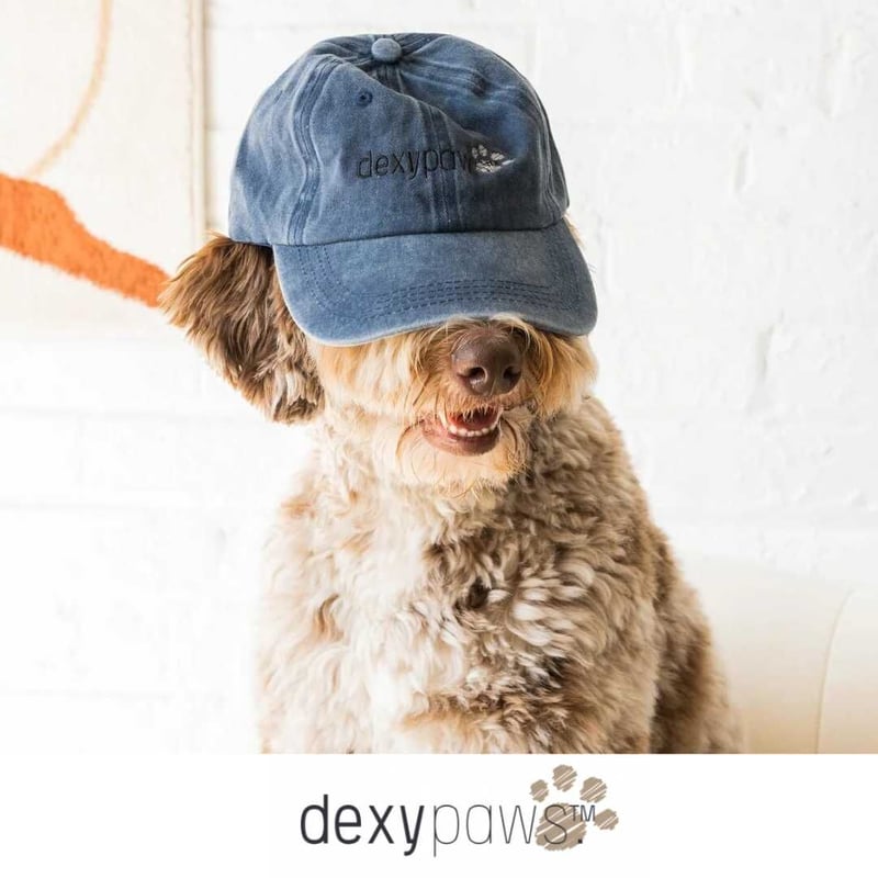 DEXYPAWS] 防水首輪 ヌード/ セージ | モフモフ mof_mof｜北欧