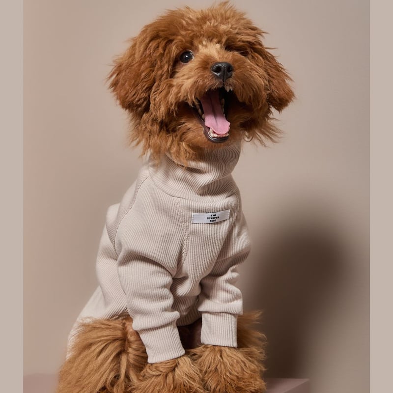 PINKHOUSE　テリア　ベージュ　犬　ニット　刺繍 ROPE' PICNIC（ロペ ピクニック） 犬 服 「DOG」スエットライク刺繍