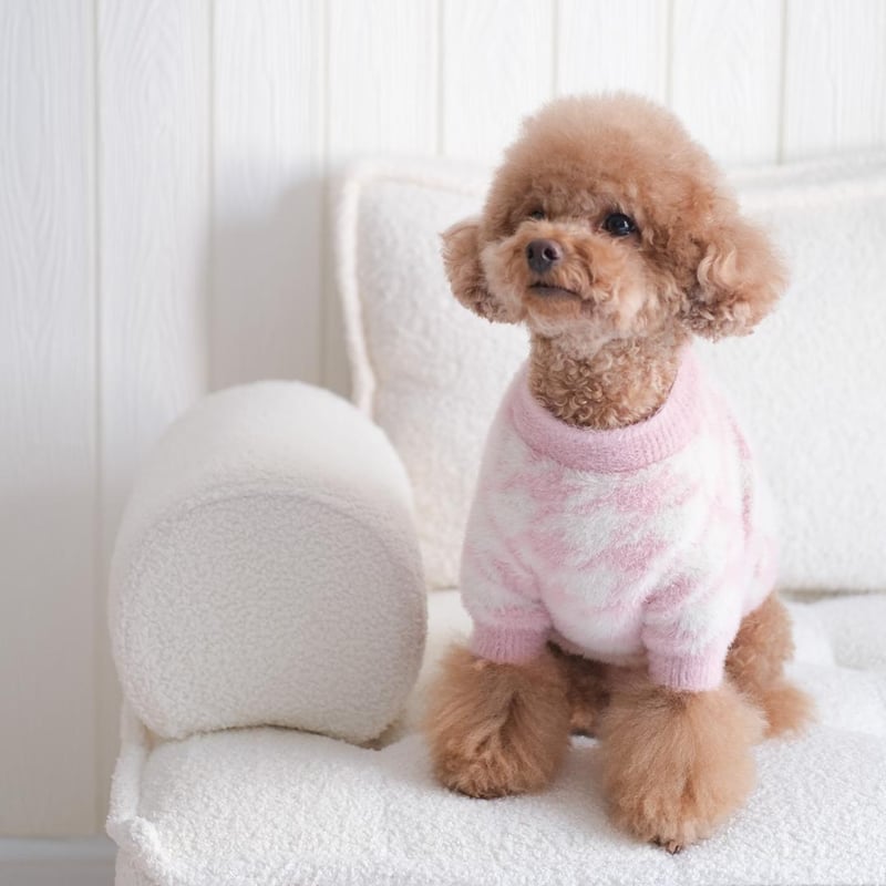 Pups & Bubs] ふわもこニット ブルー/ピンク | モフモフ mof_mof｜北